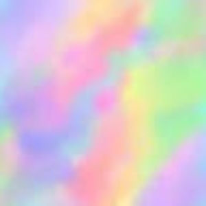 Meet your Posher, Shea